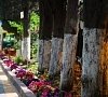 Отель Нева Алушта фото