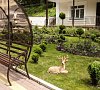 Санаторий Белая Дача Кисловодск фото Санаторий Белая Дача Кисловодск фото