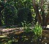 Санаторий Полтава-Крым Саки фото