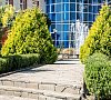 Серноводск-Кавказский Чеченская республика цены