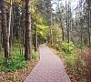 Санаторий «Дорохово» Рузский район #20