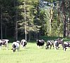 «Александровская Слобода» Конаковский район #15