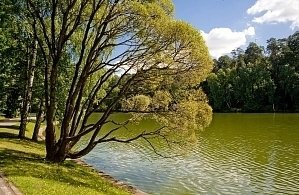 Фотографии объекта
							Санаторий «Барвиха» УДП Подмосковье