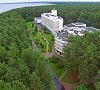 Сосны Минская область цены