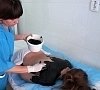 Теплолечение, отдых все включено №13