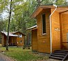 Шишки Карелия цены Шишки Карелия цены