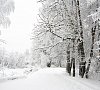 Отель «Планерное» район Химки #17