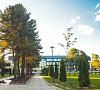 Березка Минская область цены