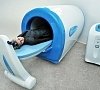 Магнитотурботрон, отдых все включено №10