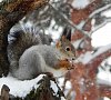им. Володарского Пензенская область