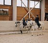 Отель «Horseka resort» Ногинский район #22