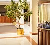 Синдика, SPA-отель Нальчик - официальный сайт Синдика, SPA-отель Нальчик - официальный сайт