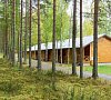Шишки Карелия Шишки Карелия