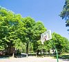 Неман-72 Гродненская область цены