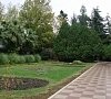Тихий Дон Сочи цены