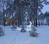 Санаторий «Ченки» Белоруссия #15
