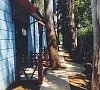 Ора Гагра