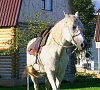 Шиболово-горки Дмитровское шоссе - официальный сайт