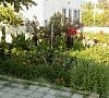 Гостиница «У моря» Новый Афон, Абхазия #36