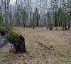 Санаторий «Краинка» Тульская область #16 Санаторий «Краинка» Тульская область #16
