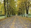 Санаторий «Подмосковье» УДП РФ Домодедово #27