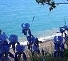 Пансионат «Волна» Алушта, Крым #14