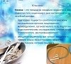 Клизмы, отдых все включено №4
