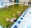 Ванна йодобромная, отдых все включено №3