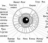 Иридодиагностика, отдых все включено №6