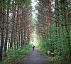 Доволенский Новосибирская область цены