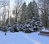 Санаторий «Елочки» Домодедово #28