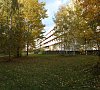 Дюны Ленинградская область