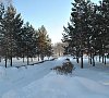 Дом отдыха Березки #19