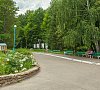 Березовая роща Пензенская область цены Березовая роща Пензенская область цены