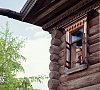 Деревня Мандроги Ленинградская область #17