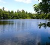 Ревиталь Парк Горьковское шоссе
