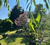 Отель ЛАД Макопсе фото
