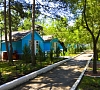 Мир Алушта цены