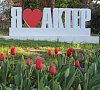 Актер Сочи Актер Сочи