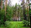 Санаторий Золотой Колос Ярославская область