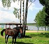 Санаторий «Лесное» Белоруссия #57