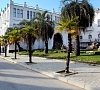 Александрия Сухум цены