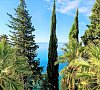 Garden Resort Gagra Гагра цены Garden Resort Gagra Гагра цены