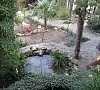 Пансионат «Морской Бриз» Гурзуф, Крым #21