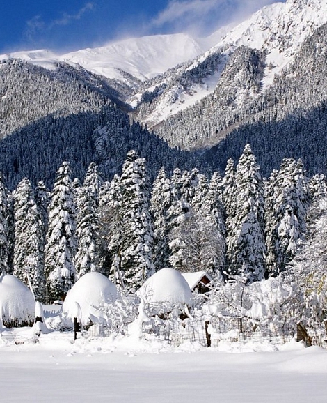 Гостевой дом «СвяДанио» Нижняя Ермоловка
