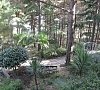 Пансионат «Морской Бриз» Гурзуф, Крым #22