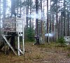 Курорт «Снежный» Коробицыно #38