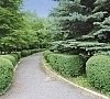 Машук Пятигорск - официальный сайт