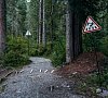 База отдыха «Алтын-Кель» Республики Алтай #13 База отдыха «Алтын-Кель» Республики Алтай #13