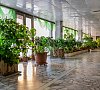 Березовая роща Пензенская область - официальный сайт Березовая роща Пензенская область - официальный сайт